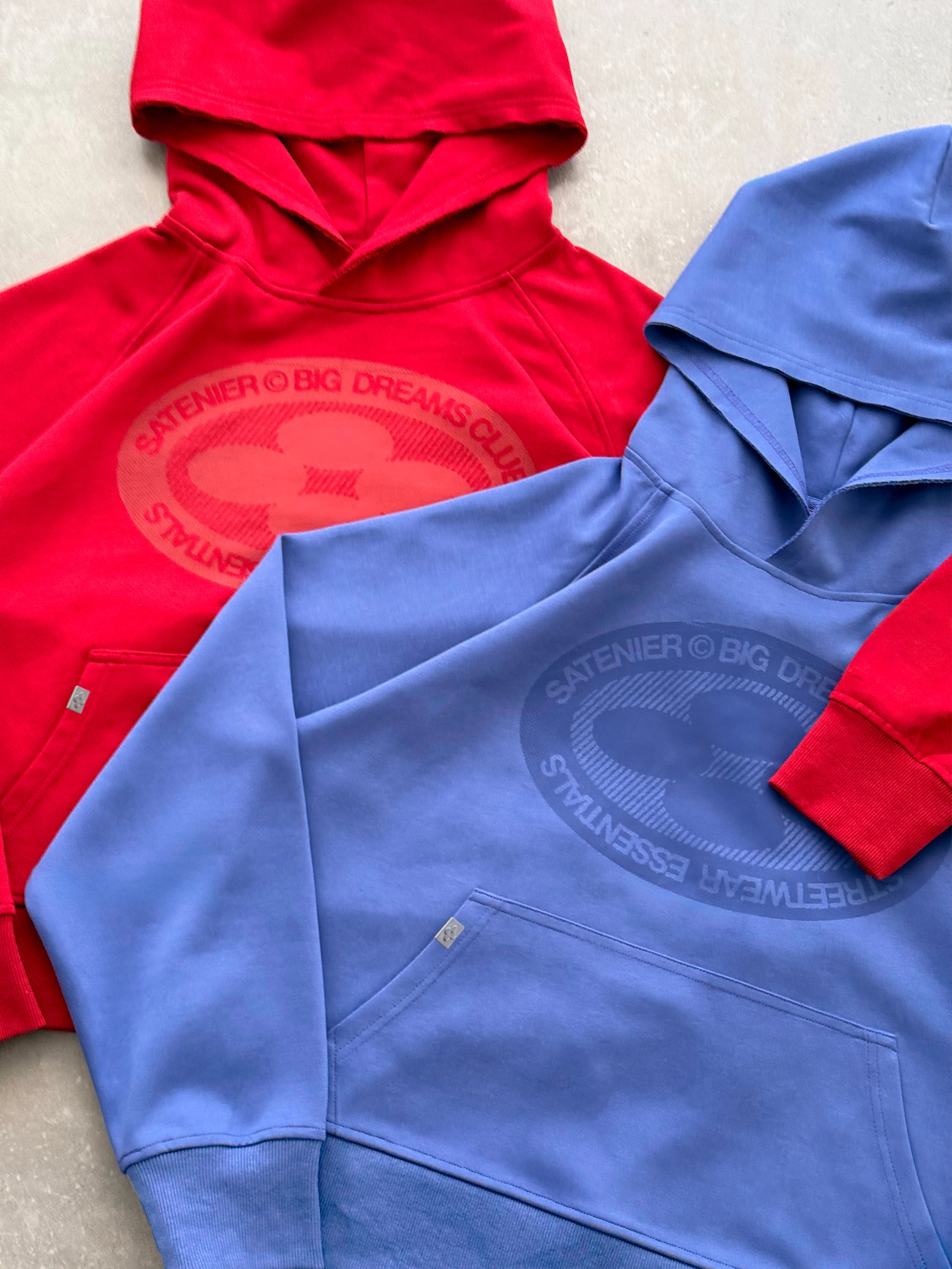 Emblem Blue Hoodie